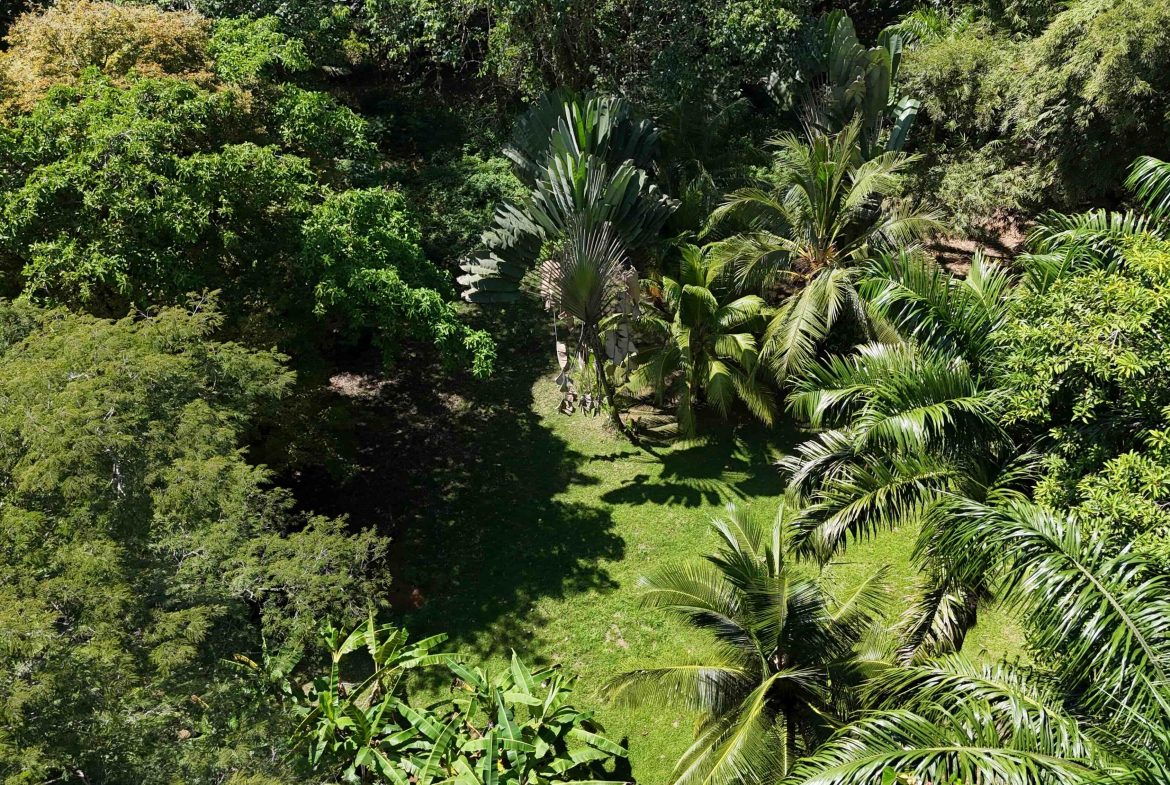 Rare Beachfront Lot Privately Located in Ballena Beach
