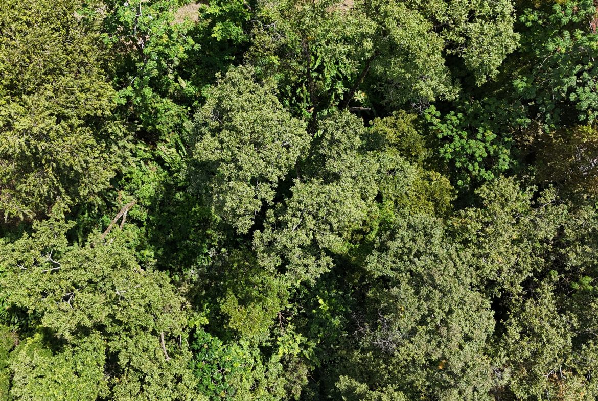 BUILDING PROPERTY WITH OCEAN VIEWS, IN QUEPOS – 0.3 ACRES