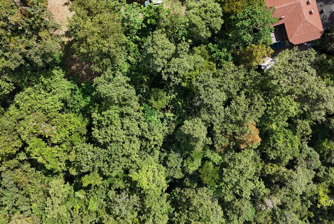 BUILDING PROPERTY WITH OCEAN VIEWS, IN QUEPOS – 0.3 ACRES