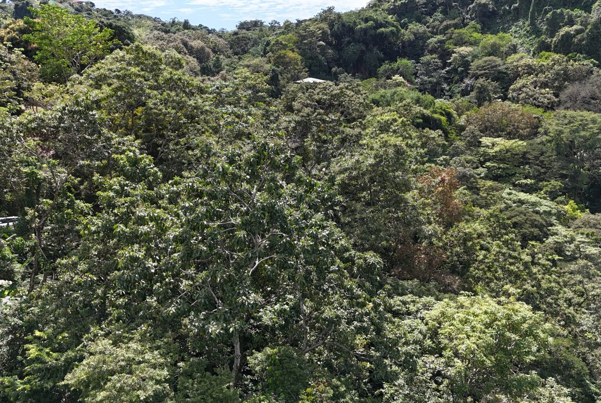 BUILDING PROPERTY WITH OCEAN VIEWS, IN QUEPOS – 0.3 ACRES