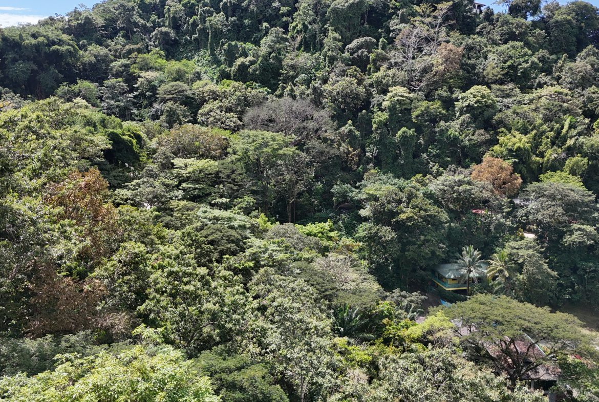 BUILDING PROPERTY WITH OCEAN VIEWS, IN QUEPOS – 0.3 ACRES