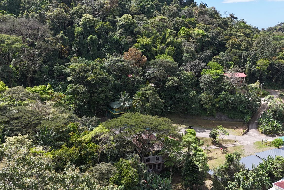 BUILDING PROPERTY WITH OCEAN VIEWS, IN QUEPOS – 0.3 ACRES