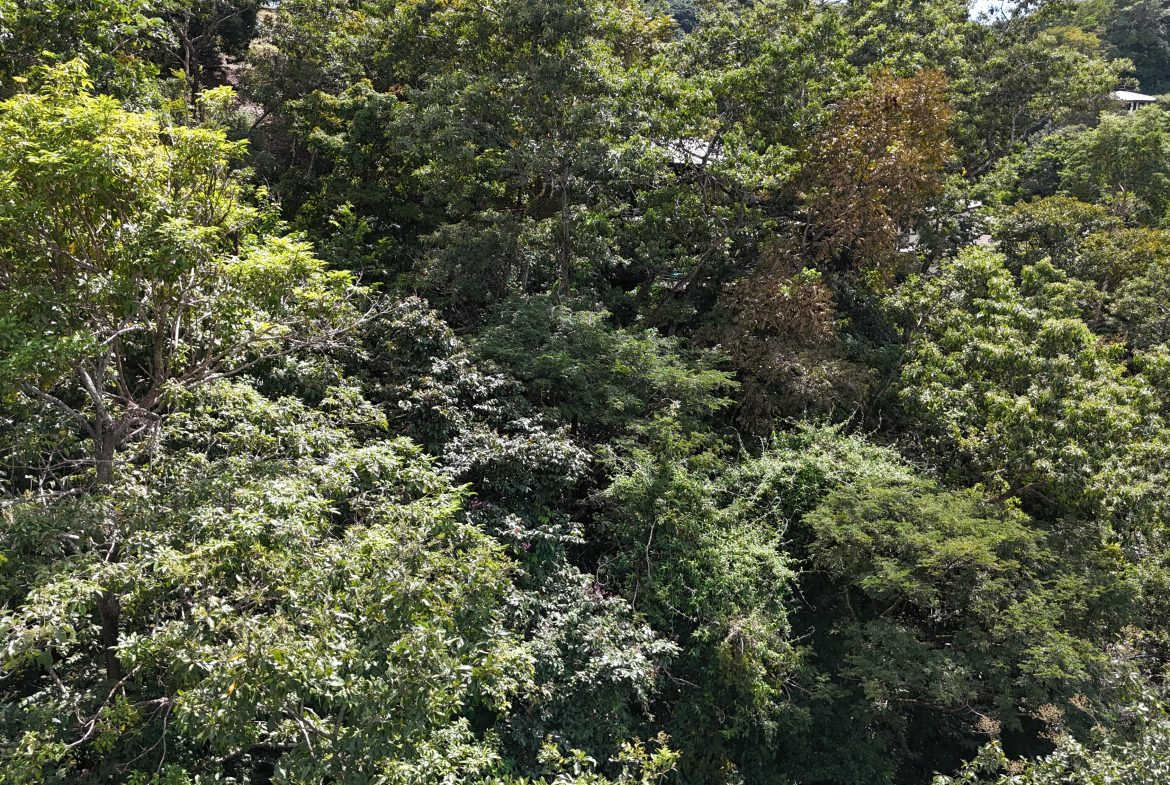 BUILDING PROPERTY WITH OCEAN VIEWS, IN QUEPOS – 0.3 ACRES