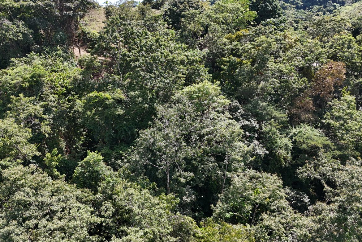 BUILDING PROPERTY WITH OCEAN VIEWS, IN QUEPOS – 0.3 ACRES