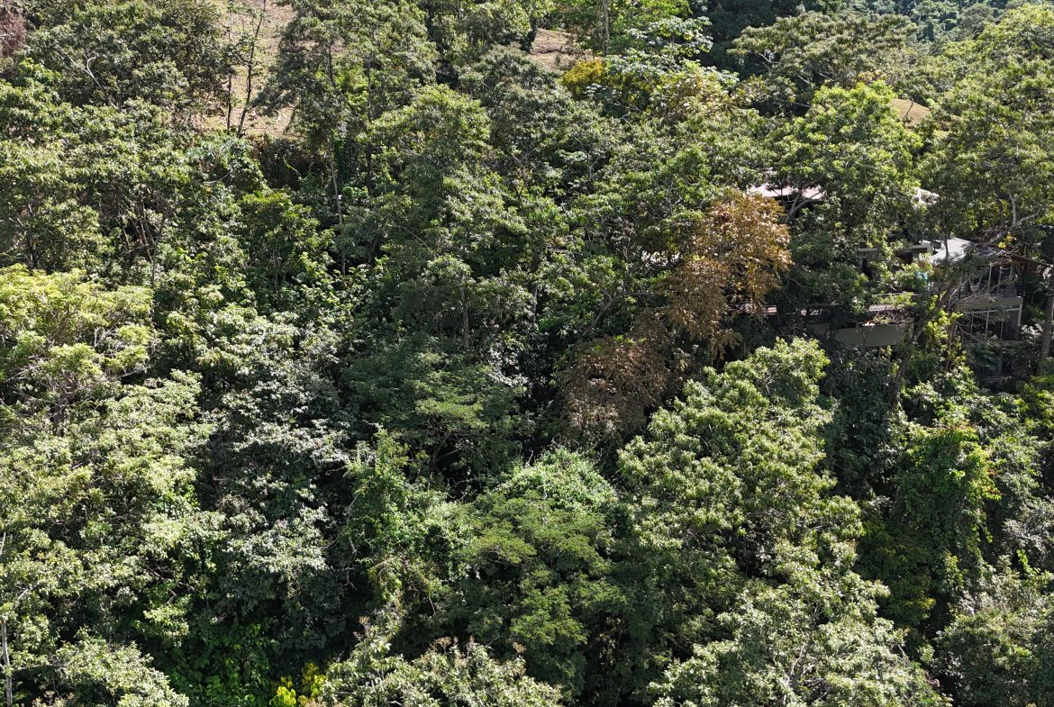 BUILDING PROPERTY WITH OCEAN VIEWS, IN QUEPOS – 0.3 ACRES