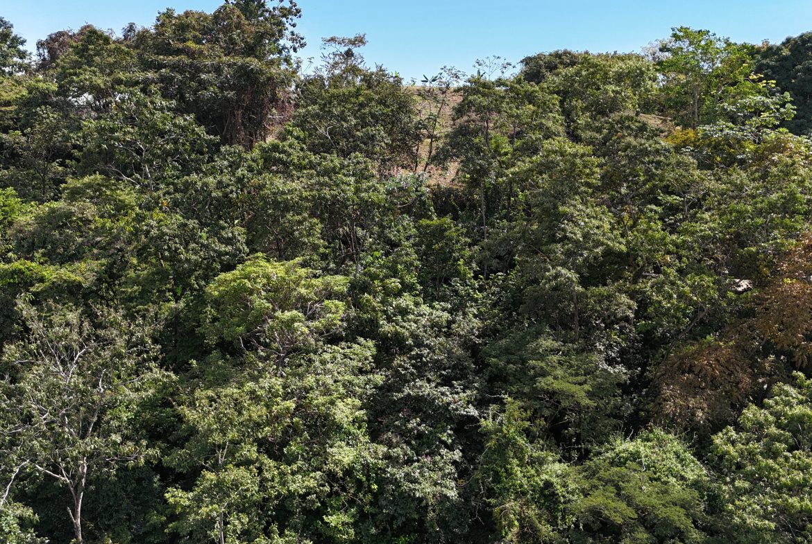BUILDING PROPERTY WITH OCEAN VIEWS, IN QUEPOS – 0.3 ACRES