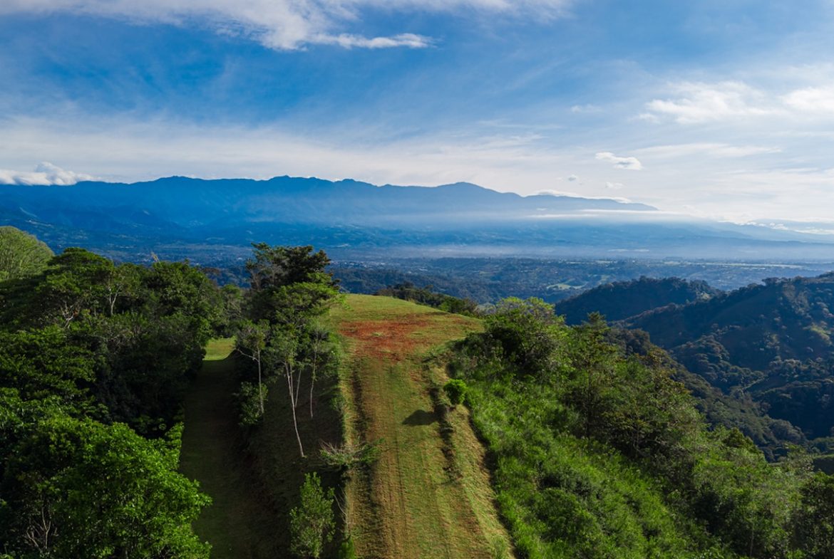 DEVELOPMENT PROPERTY WITH MOUNTAINS VIEWS AND NEAR TO THE CASCADE, IN LA PALMA – 12 ACRES