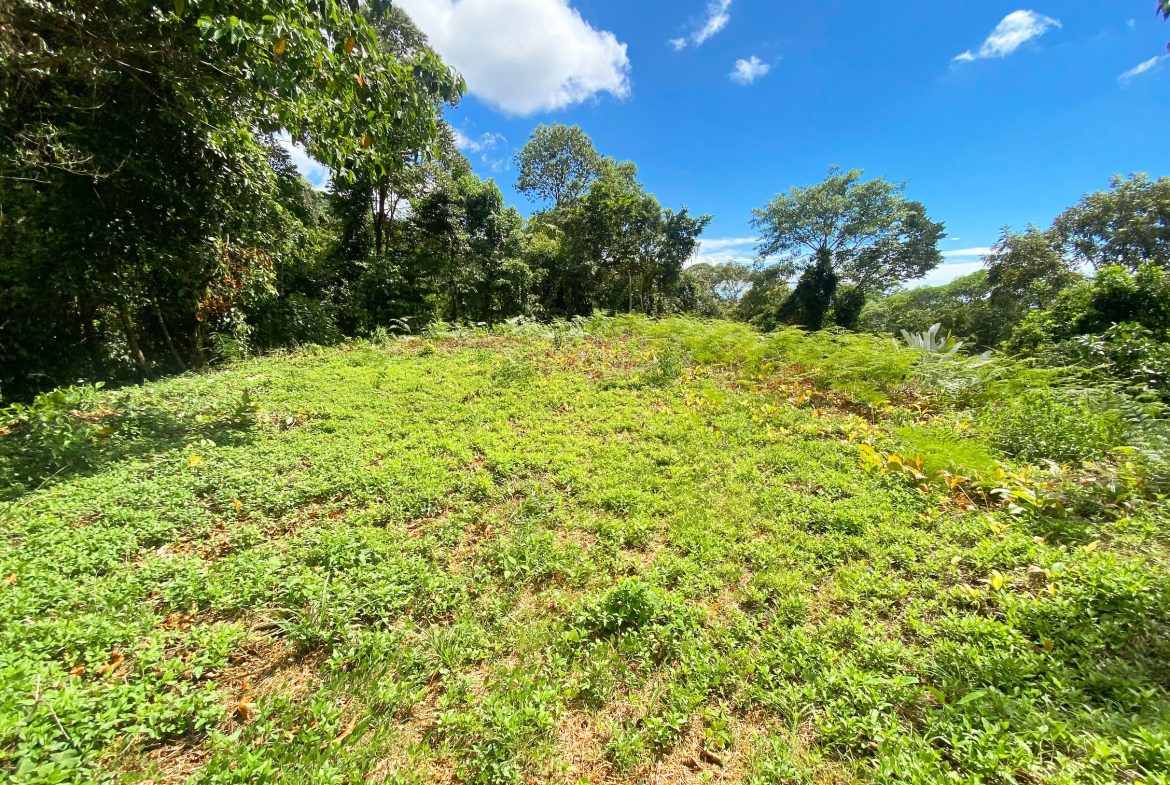 BUILDING PROPERTY WITH MOUNTAIN VIEWS, IN OJOCHAL – 1.75 ACRES