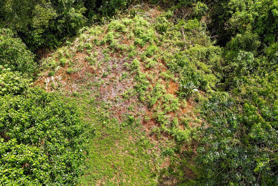 BUILDING PROPERTY WITH MOUNTAIN VIEWS, IN OJOCHAL – 1.75 ACRES