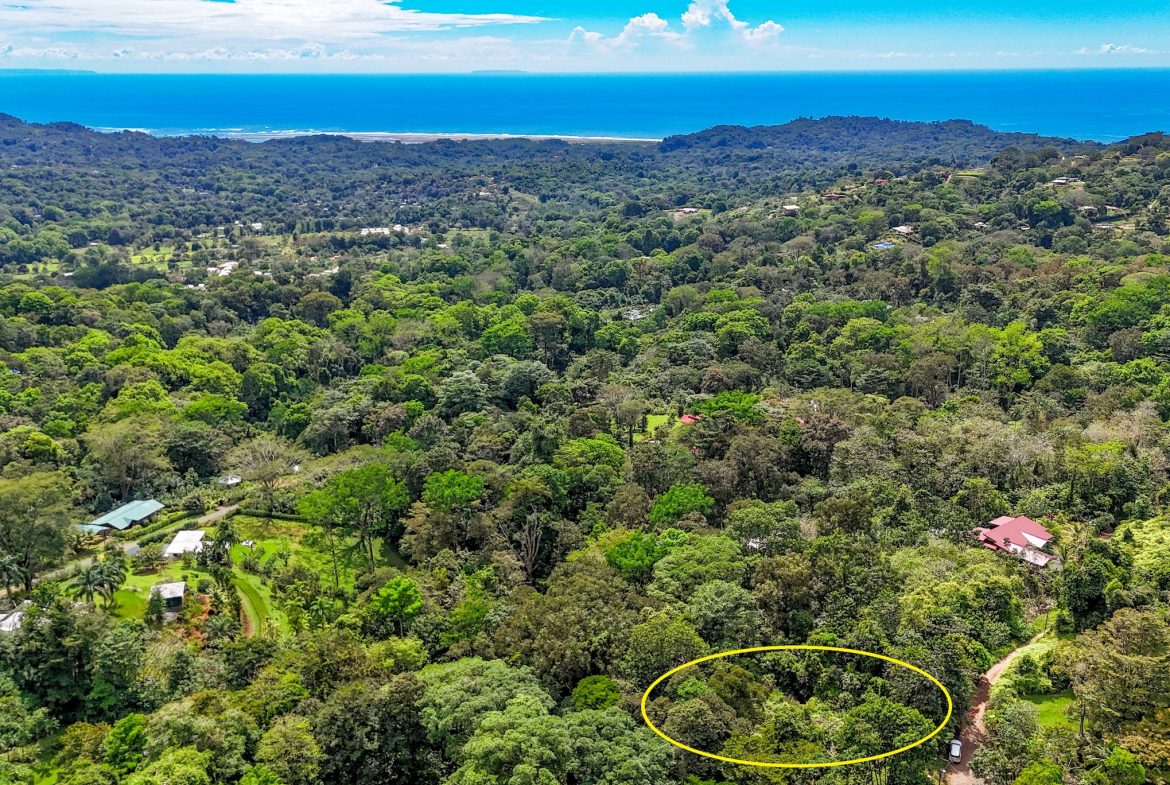 BUILDING PROPERTY WITH MOUNTAIN VIEWS, IN OJOCHAL – 1.75 ACRES