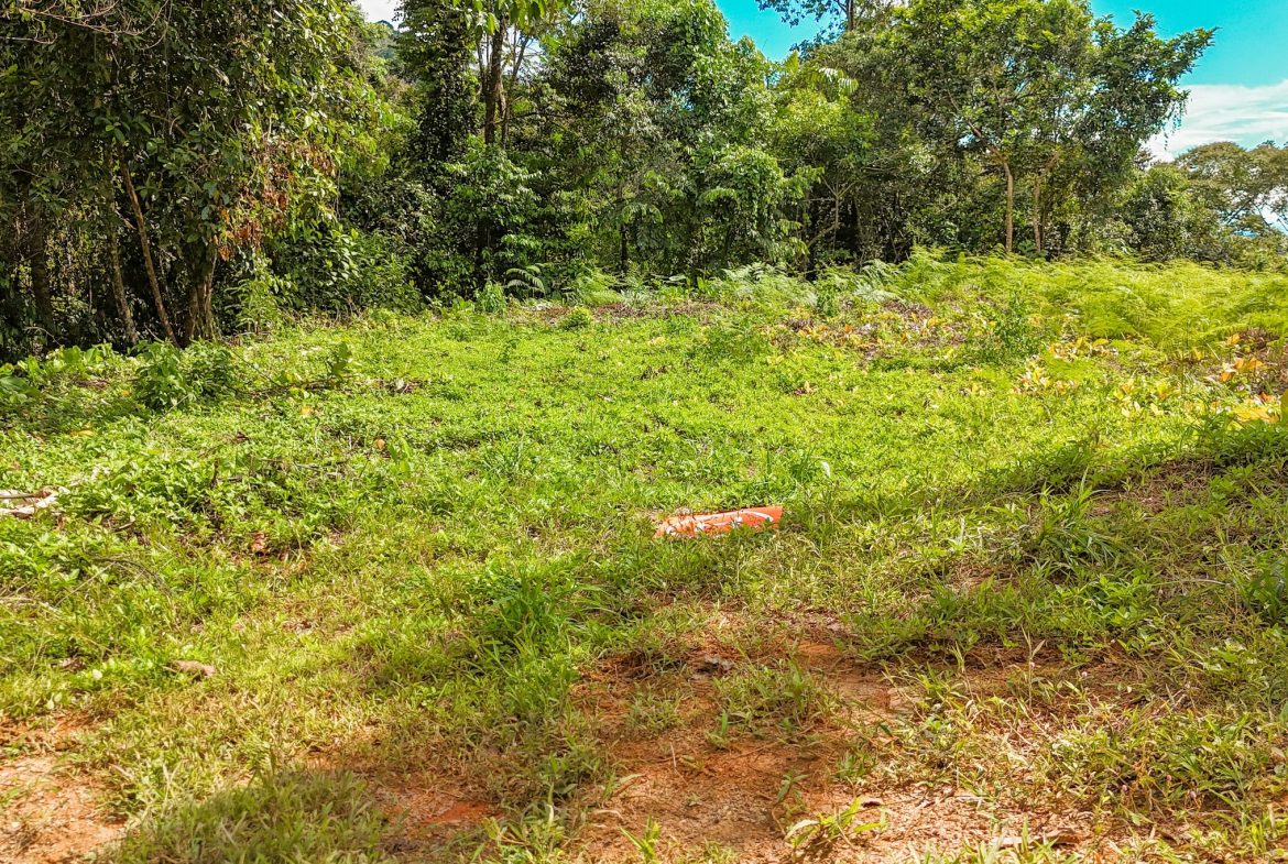 BUILDING PROPERTY WITH MOUNTAIN VIEWS, IN OJOCHAL – 1.75 ACRES