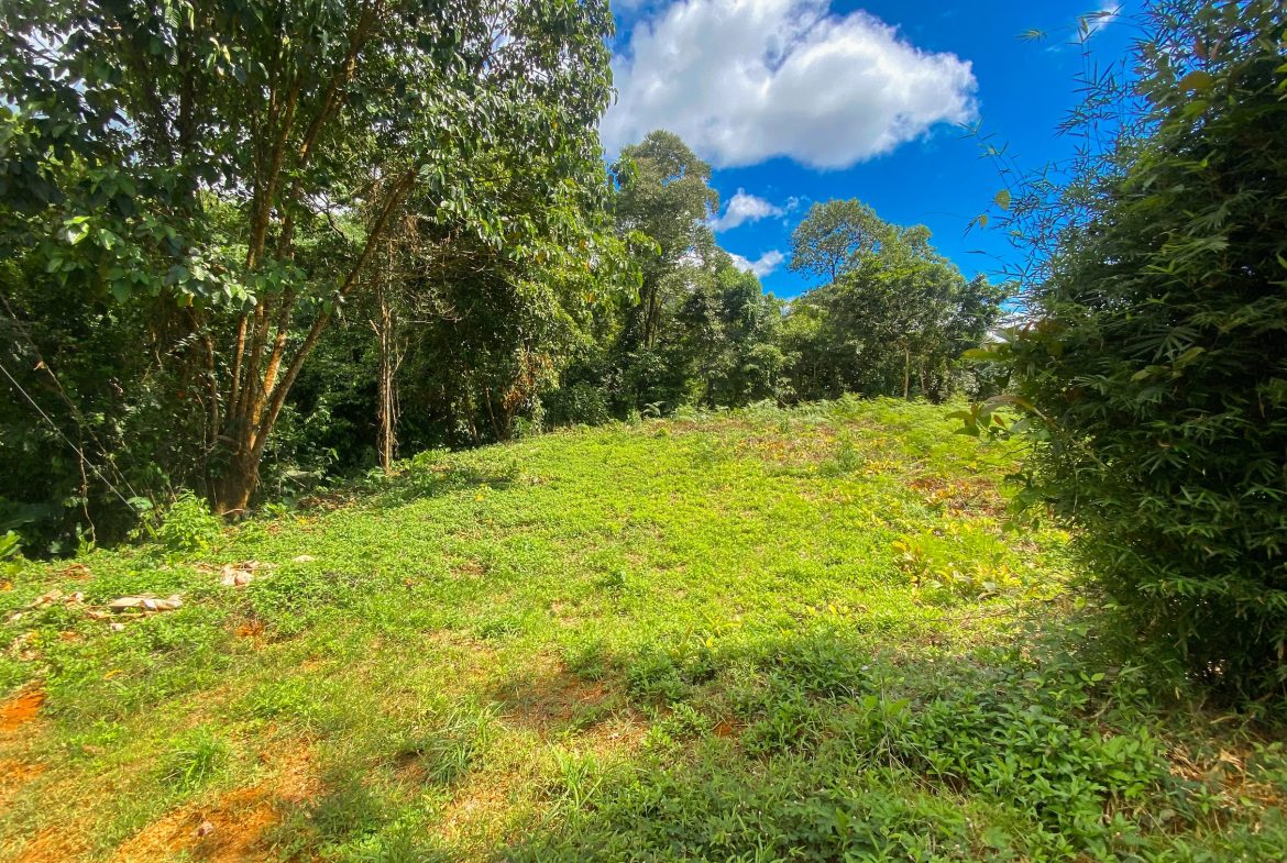 BUILDING PROPERTY WITH MOUNTAIN VIEWS, IN OJOCHAL – 1.75 ACRES