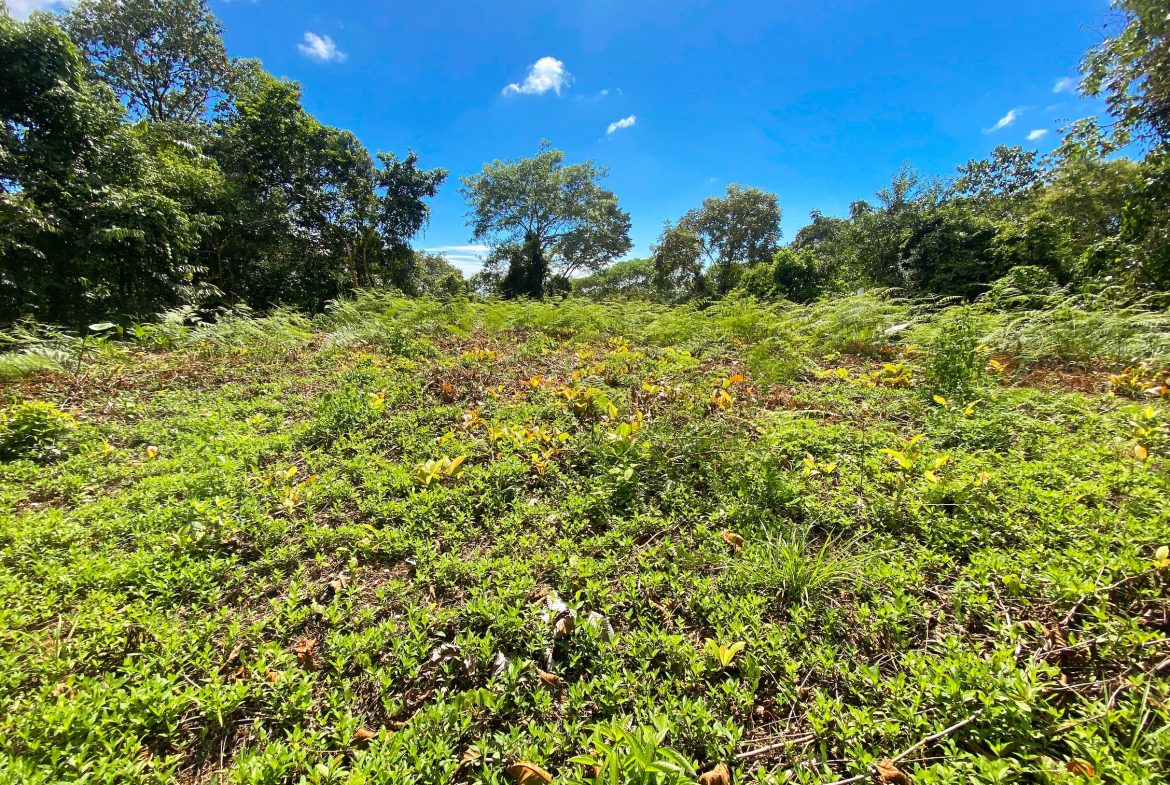 BUILDING PROPERTY WITH MOUNTAIN VIEWS, IN OJOCHAL – 1.75 ACRES
