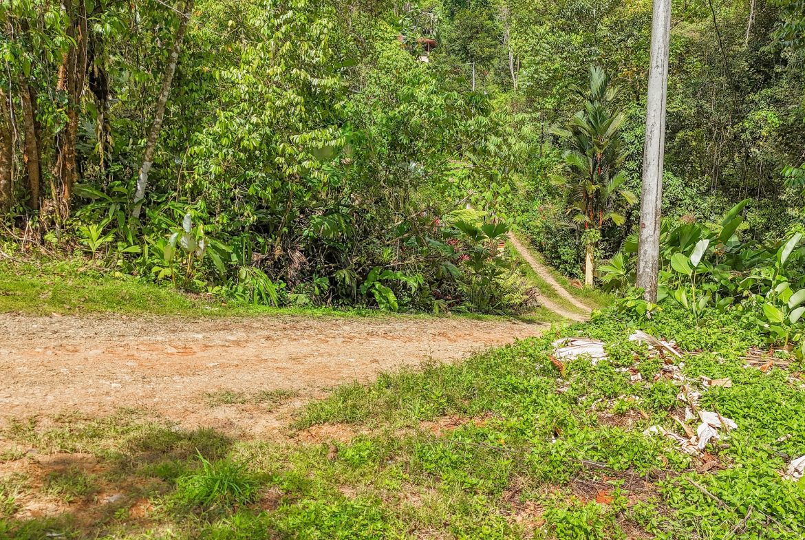 BUILDING PROPERTY WITH MOUNTAIN VIEWS, IN OJOCHAL – 1.75 ACRES