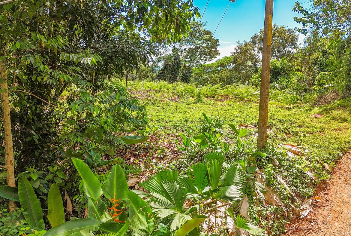 BUILDING PROPERTY WITH MOUNTAIN VIEWS, IN OJOCHAL – 1.75 ACRES