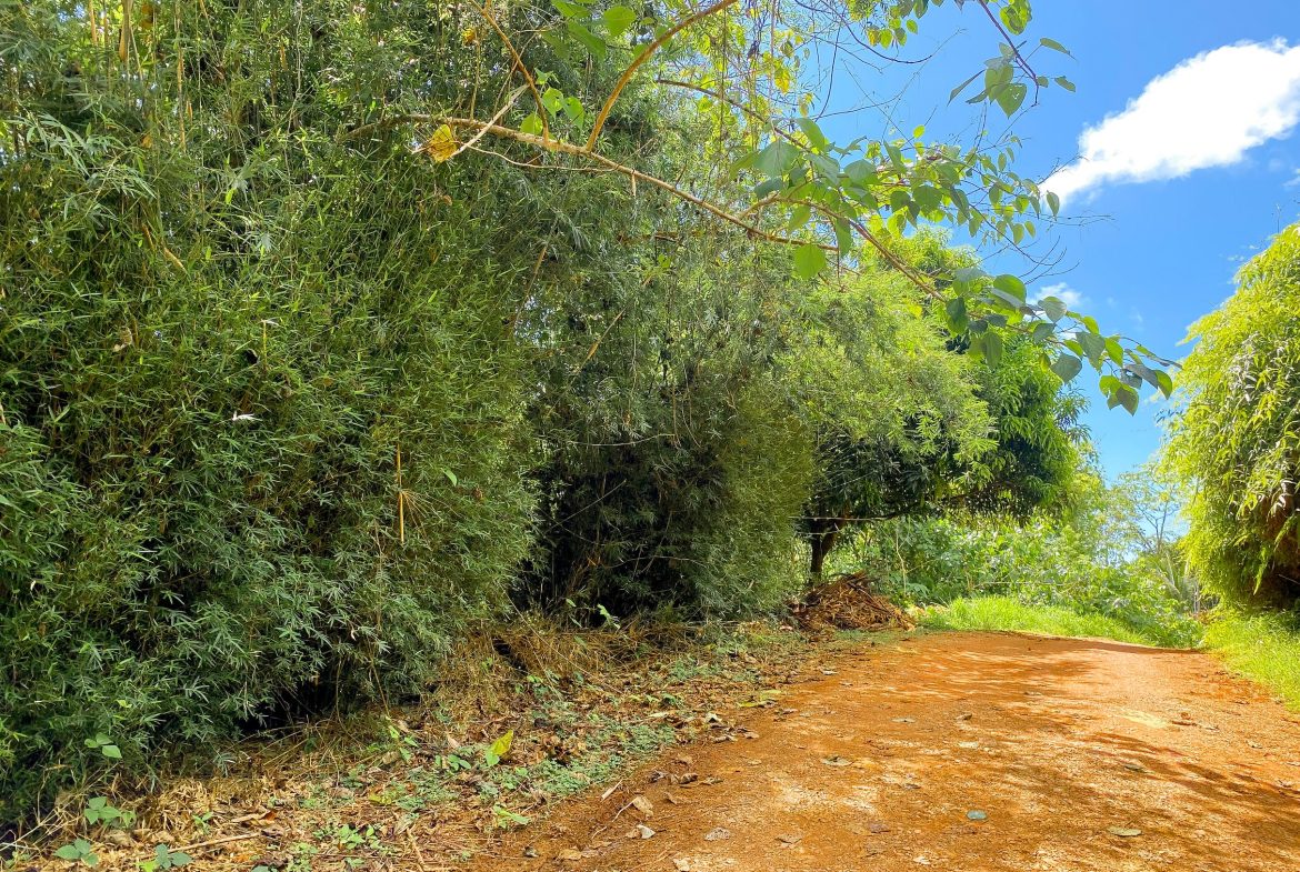 BUILDING PROPERTY WITH MOUNTAIN VIEWS, IN OJOCHAL – 1.75 ACRES