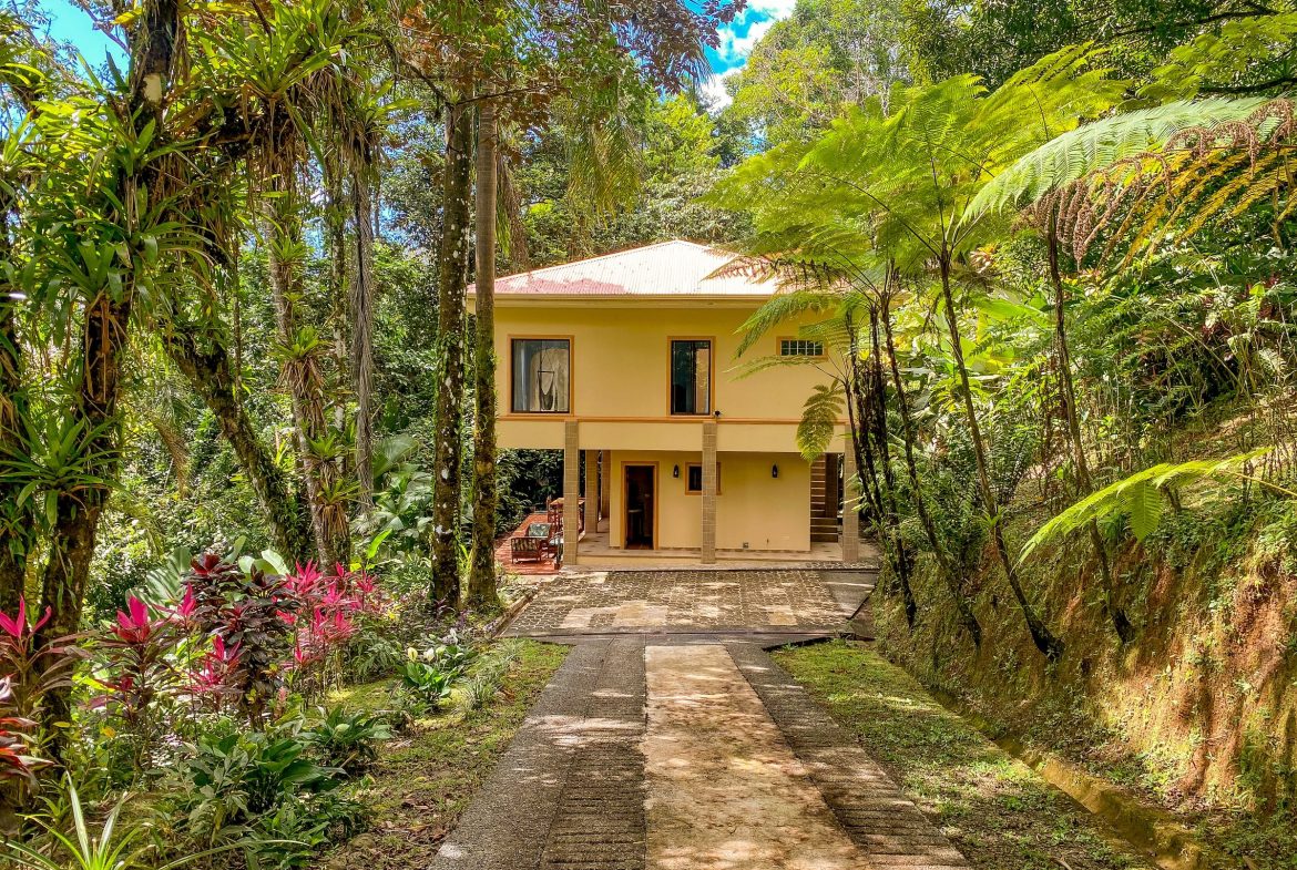 PROPERTY WITH TWO FLOOR AND THREE BEDROOM WITH JUNGLE VIEWS, IN OJOCHAL – 3.5 ACRES