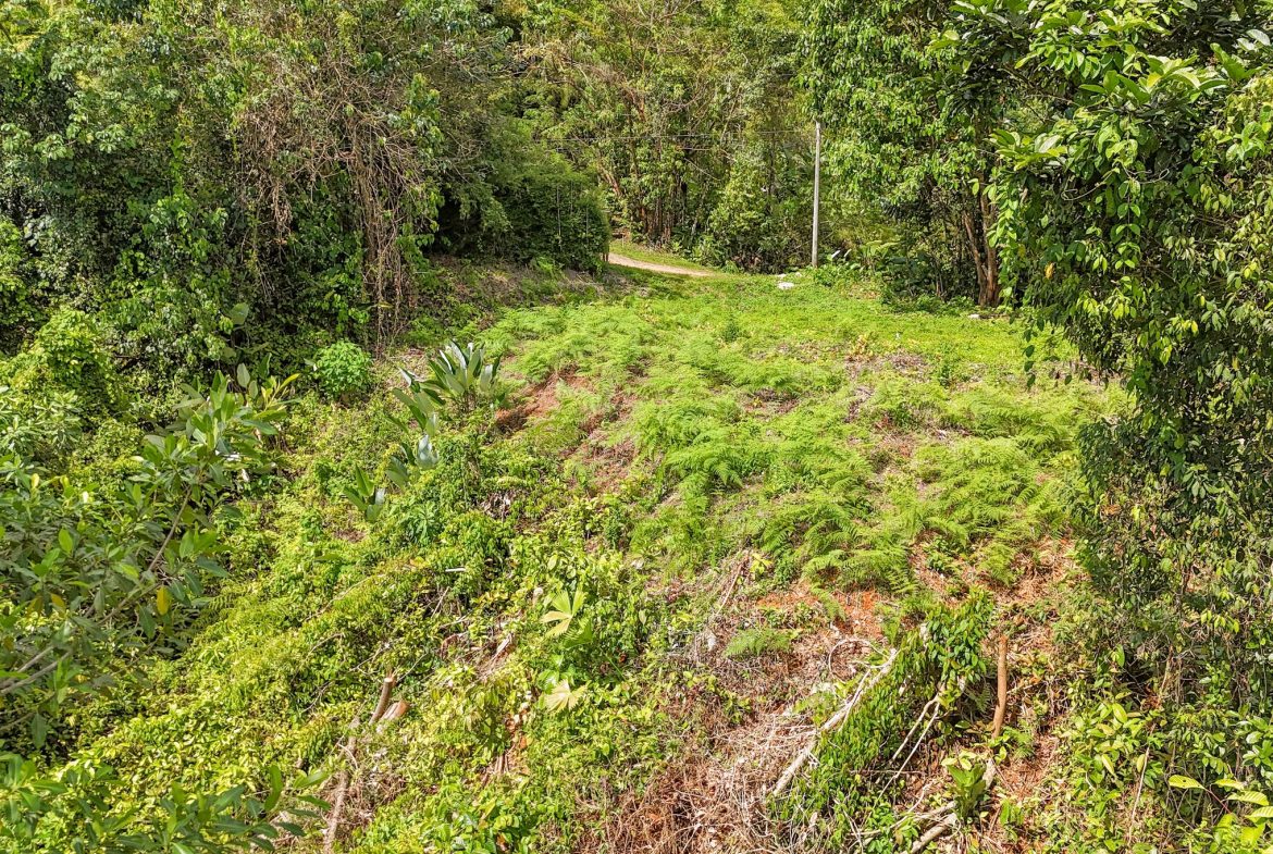 BUILDING PROPERTY WITH MOUNTAIN VIEWS, IN OJOCHAL – 1.75 ACRES