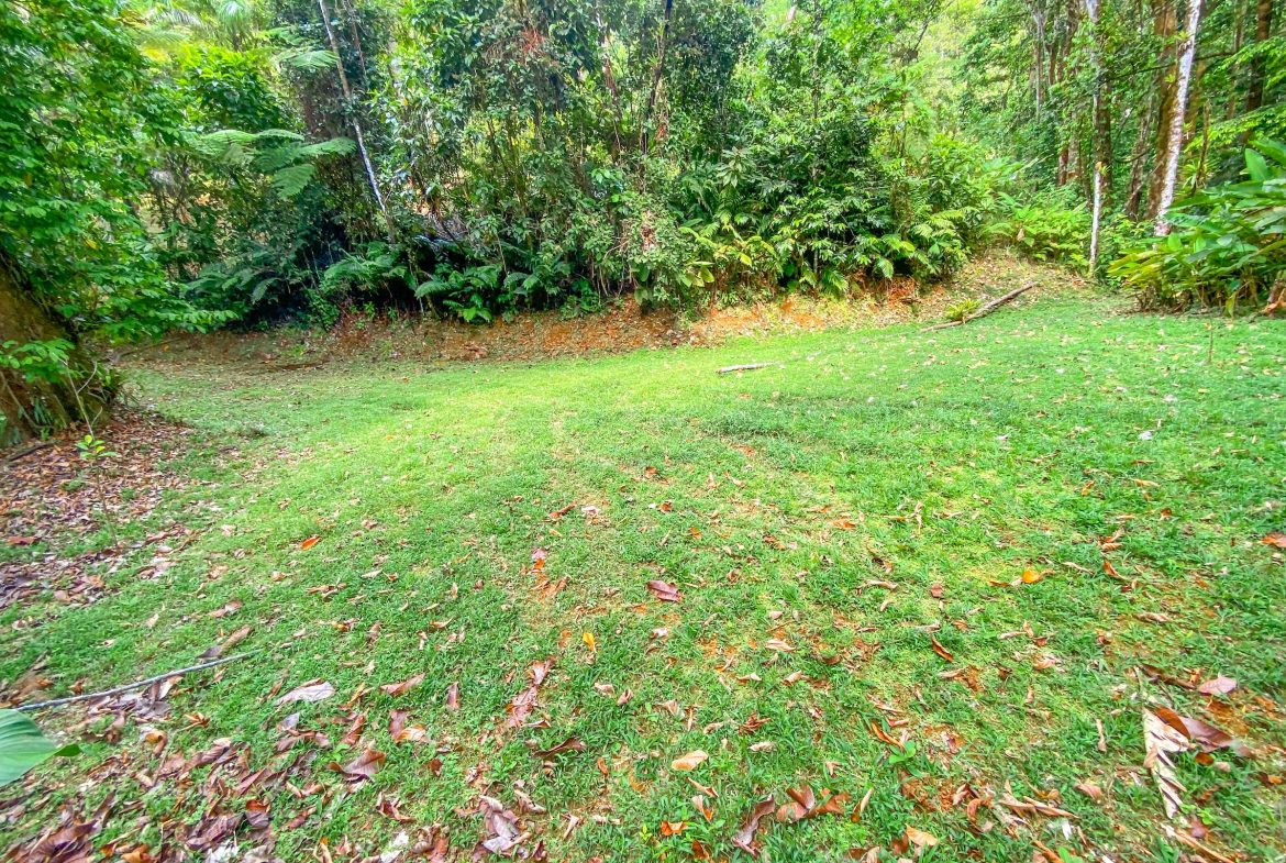 PROPERTY WITH TWO FLOOR AND THREE BEDROOM WITH JUNGLE VIEWS, IN OJOCHAL – 3.5 ACRES