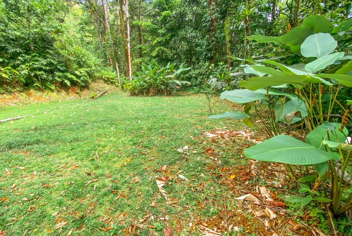PROPERTY WITH TWO FLOOR AND THREE BEDROOM WITH JUNGLE VIEWS, IN OJOCHAL – 3.5 ACRES