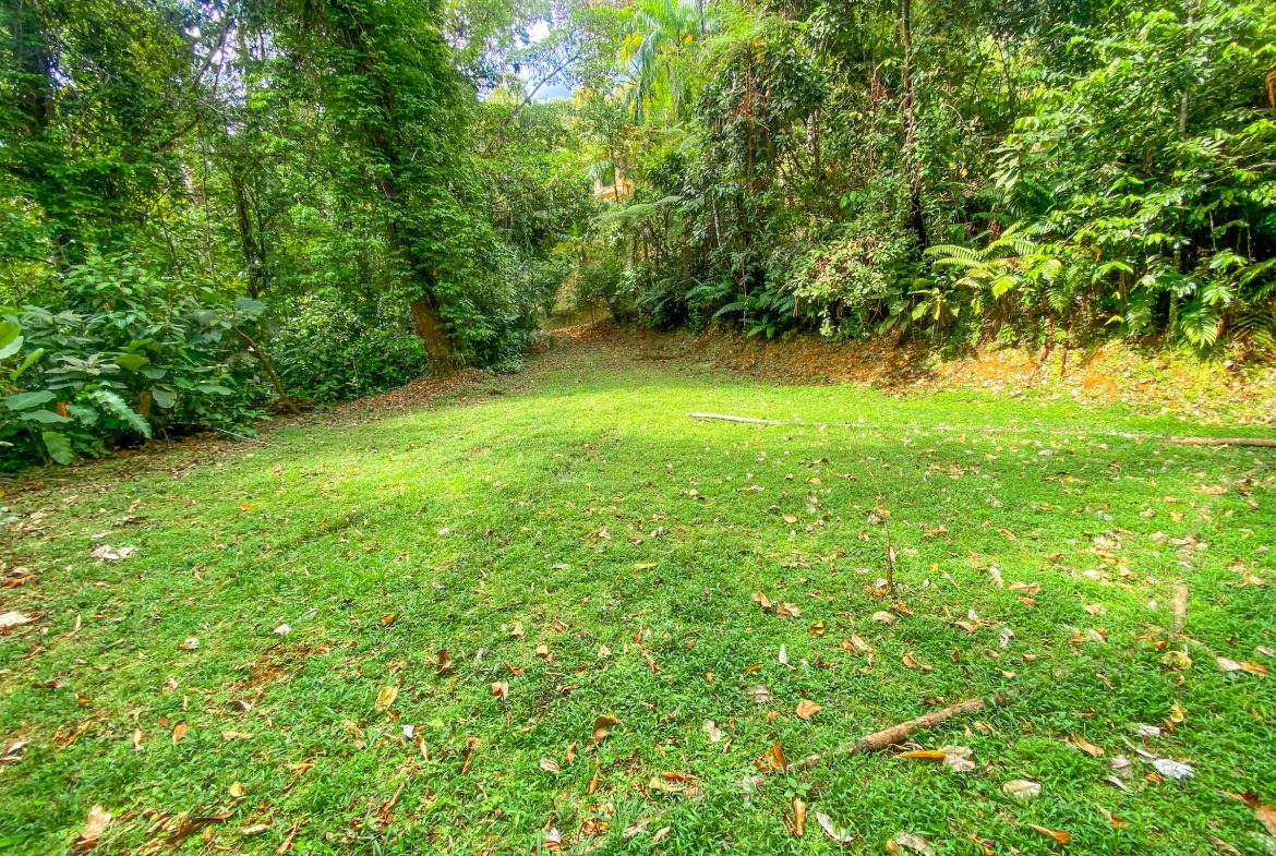 PROPERTY WITH TWO FLOOR AND THREE BEDROOM WITH JUNGLE VIEWS, IN OJOCHAL – 3.5 ACRES