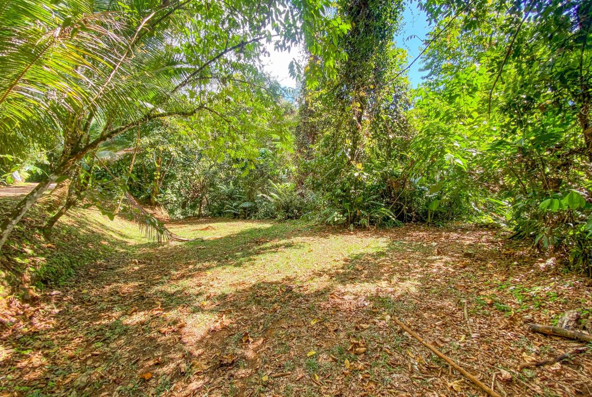 PROPERTY WITH TWO FLOOR AND THREE BEDROOM WITH JUNGLE VIEWS, IN OJOCHAL – 3.5 ACRES