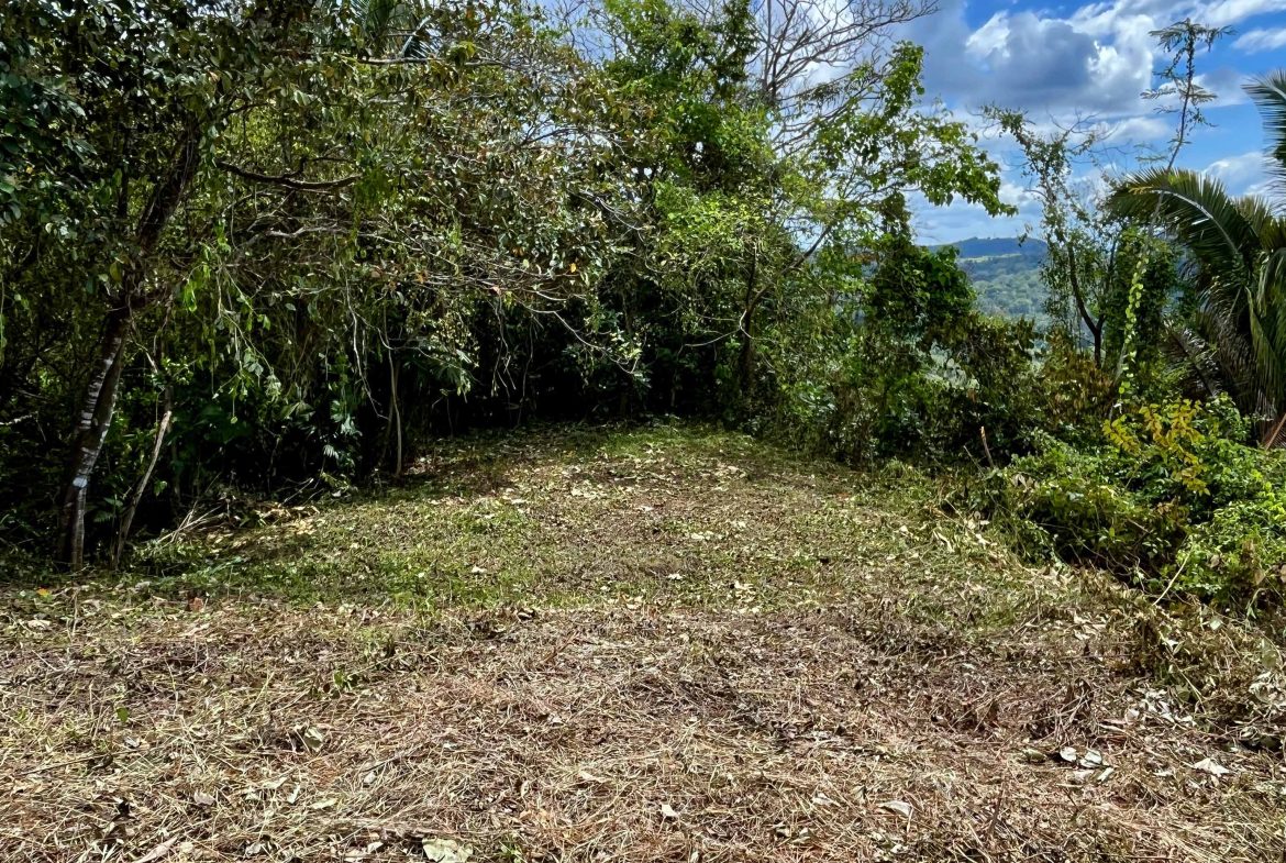 San Buenas Ocean View Estate Lot – 2.5 Acres