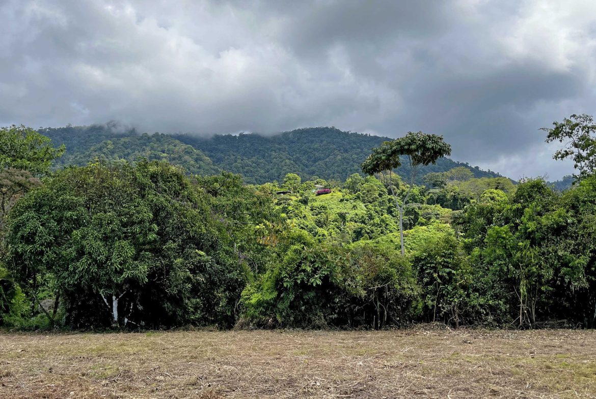 San Buenas Ocean View Estate Lot – 2.5 Acres