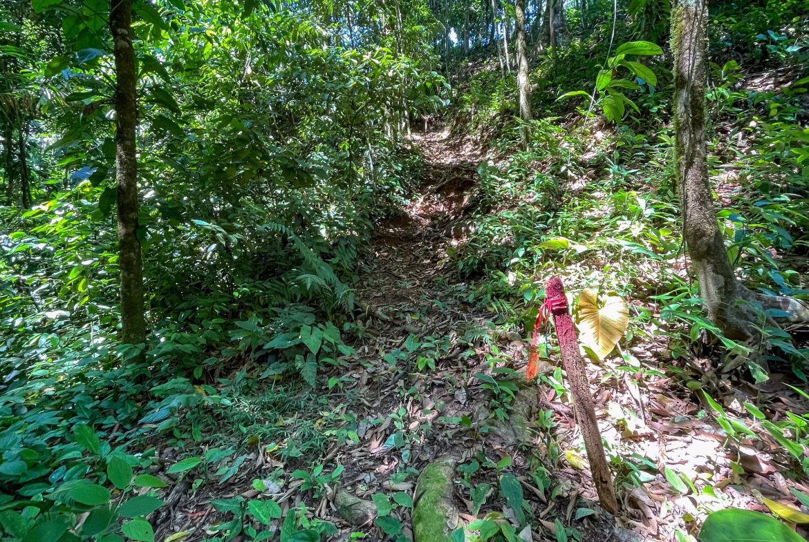 BUILDING PROPERTY WITH MOUNTAIN VIEWS, IN LAS BRISAS – 1.38 ACRES