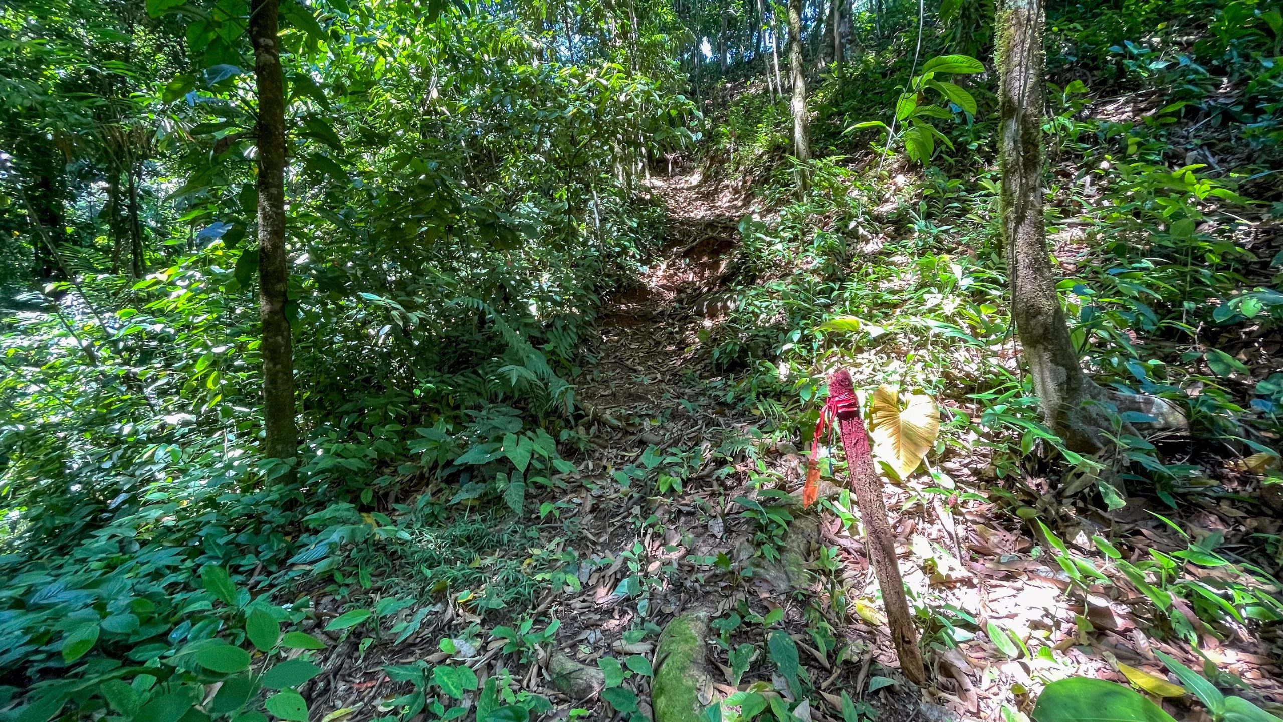 Property For Sale in Uvita Costa Rica