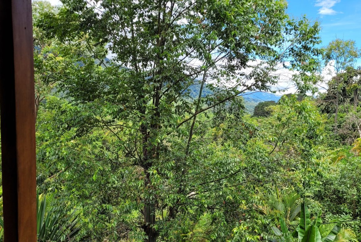PROPERTY WITH A GUEST HOUSE WITH  MONTE CHIRRIPO VIEWS, IN SAN GERARDO RIVAS – 2.47 ACRES