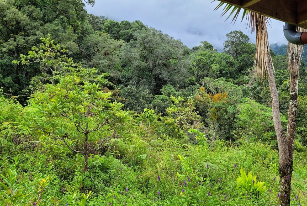 PROPERTY WITH A GUEST HOUSE WITH  MONTE CHIRRIPO VIEWS, IN SAN GERARDO RIVAS – 2.47 ACRES