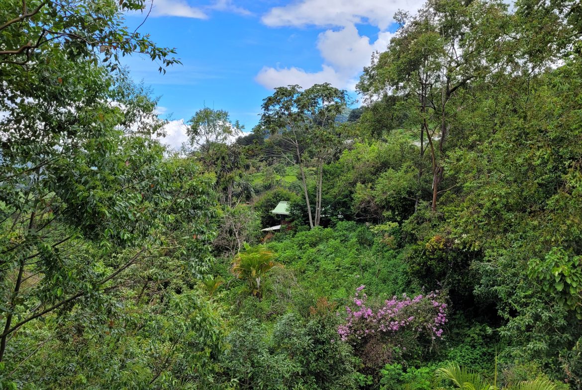 PROPERTY WITH A GUEST HOUSE WITH  MONTE CHIRRIPO VIEWS, IN SAN GERARDO RIVAS – 2.47 ACRES