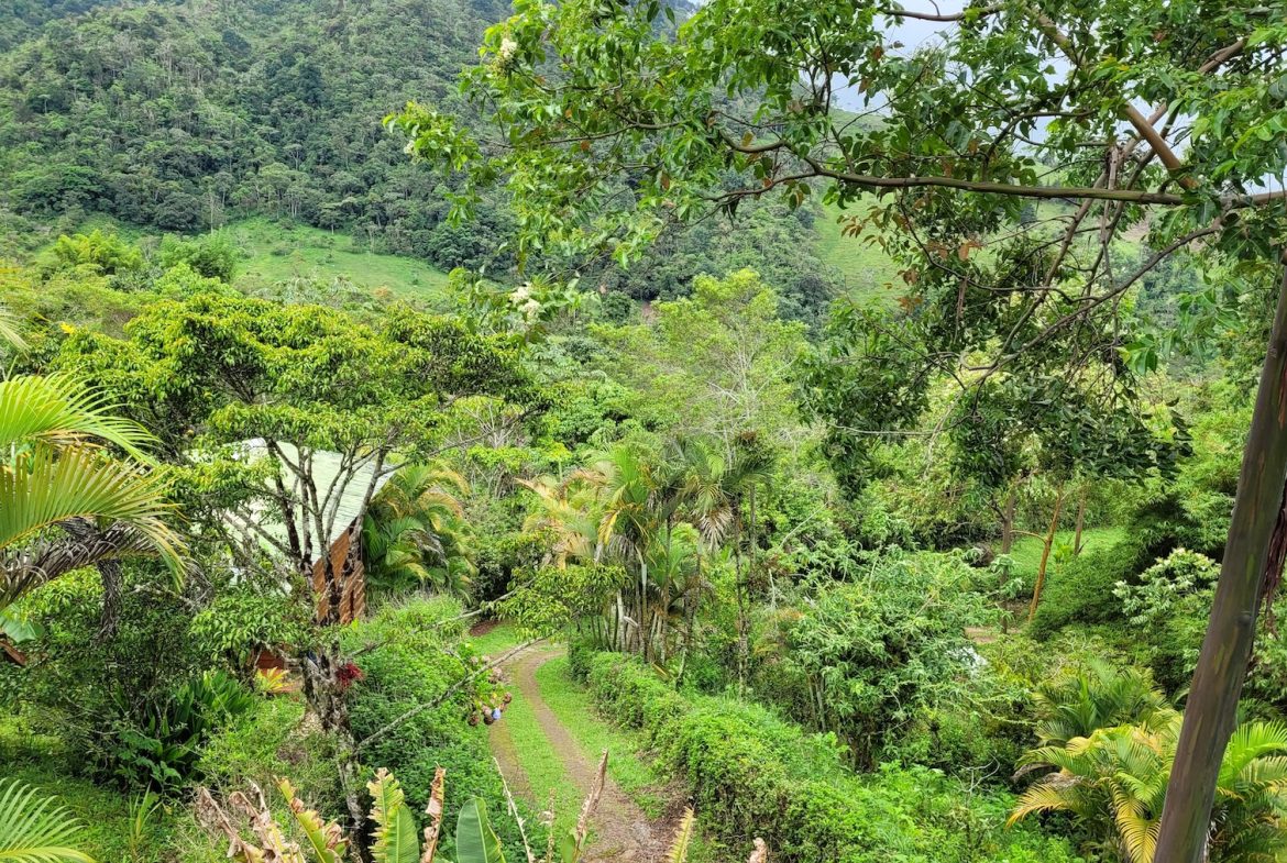 PROPERTY WITH A GUEST HOUSE WITH  MONTE CHIRRIPO VIEWS, IN SAN GERARDO RIVAS – 2.47 ACRES