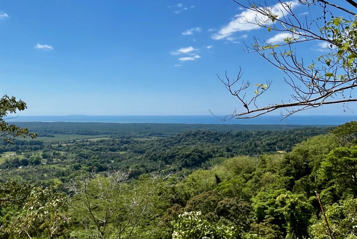 San Buenas Ocean View Estate Lot – 2.5 Acres
