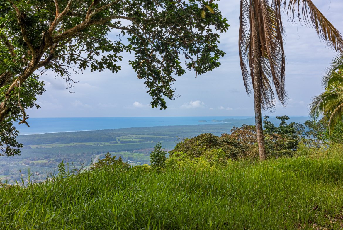DEVELOPMENT PROPERTY WITH PANORAMIC VIEWS OF THE OCEAN AND SUNSET, IN PORTALON – 44 ACRES