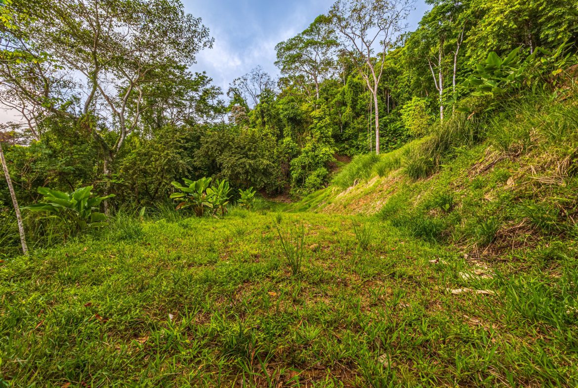 DEVELOPMENT PROPERTY WITH PANORAMIC VIEWS OF THE OCEAN AND SUNSET, IN PORTALON – 44 ACRES
