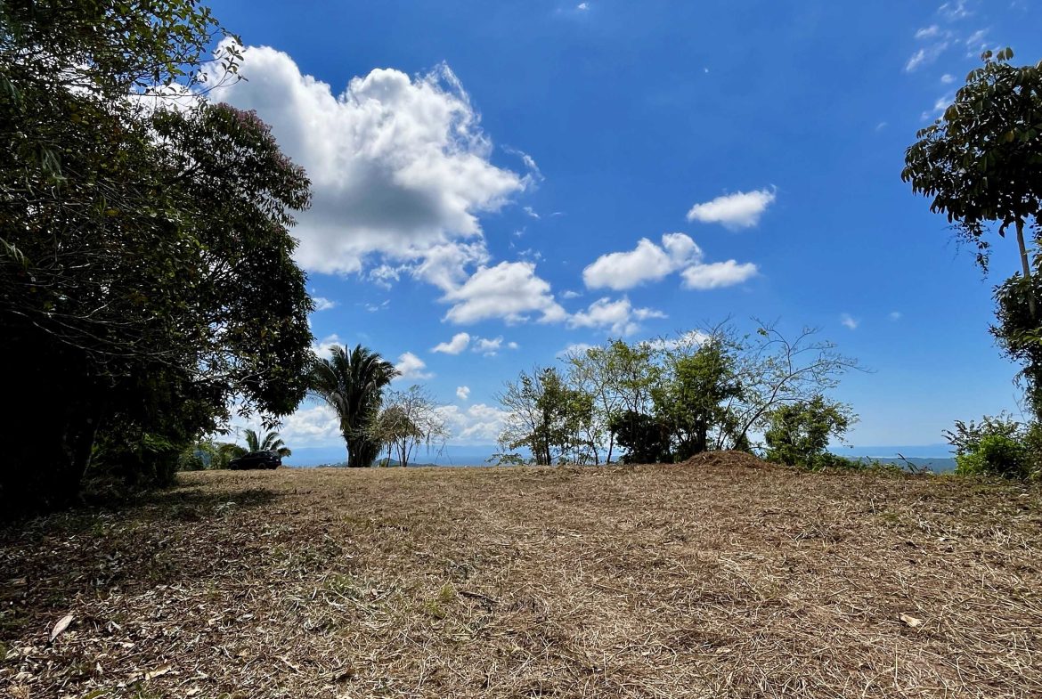 San Buenas Ocean View Estate Lot – 2.5 Acres