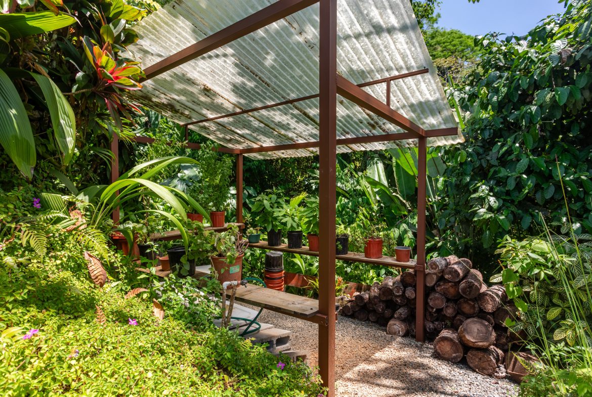 CASA POR FIN – ICONIC OCEAN VIEW ESTATE WITH PRIVATE RAINFOREST SANCTUARY