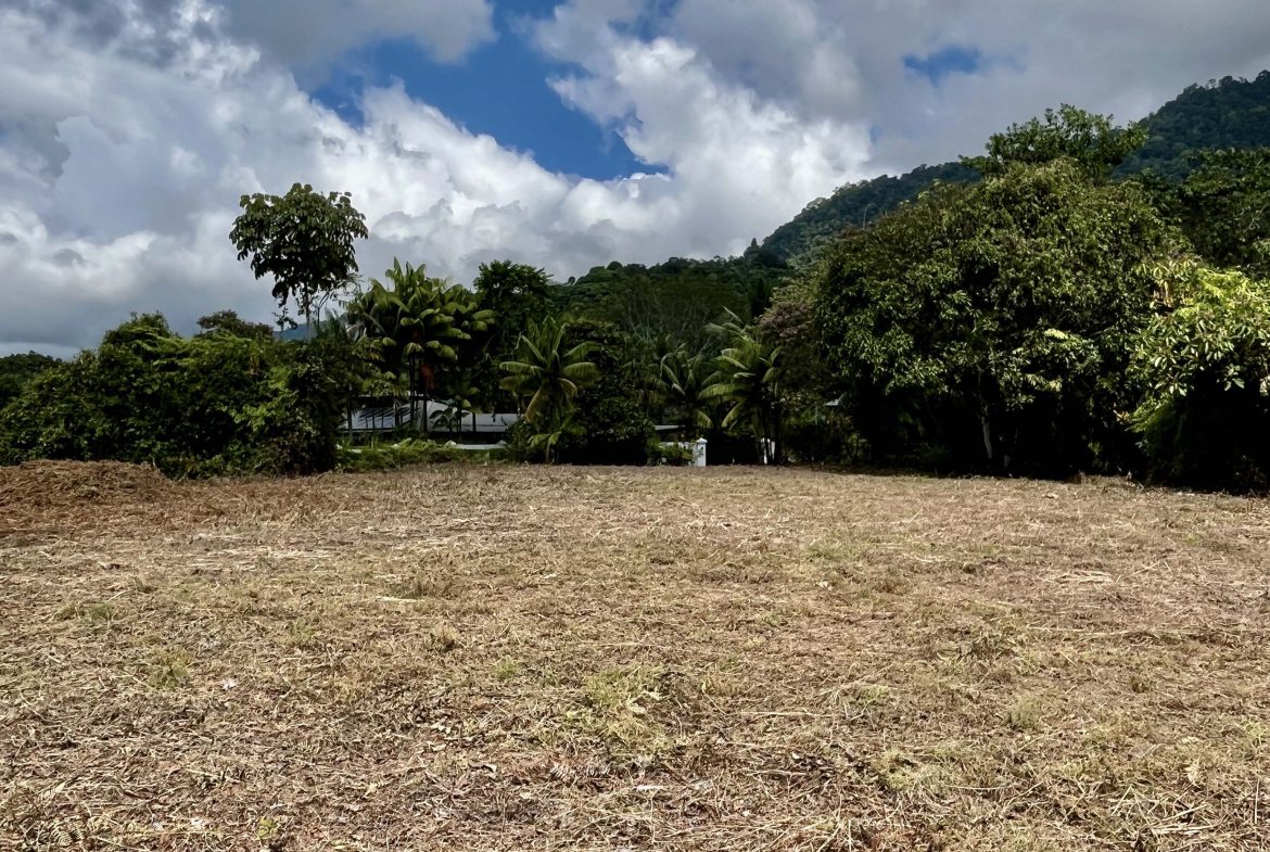 San Buenas Ocean View Estate Lot – 2.5 Acres