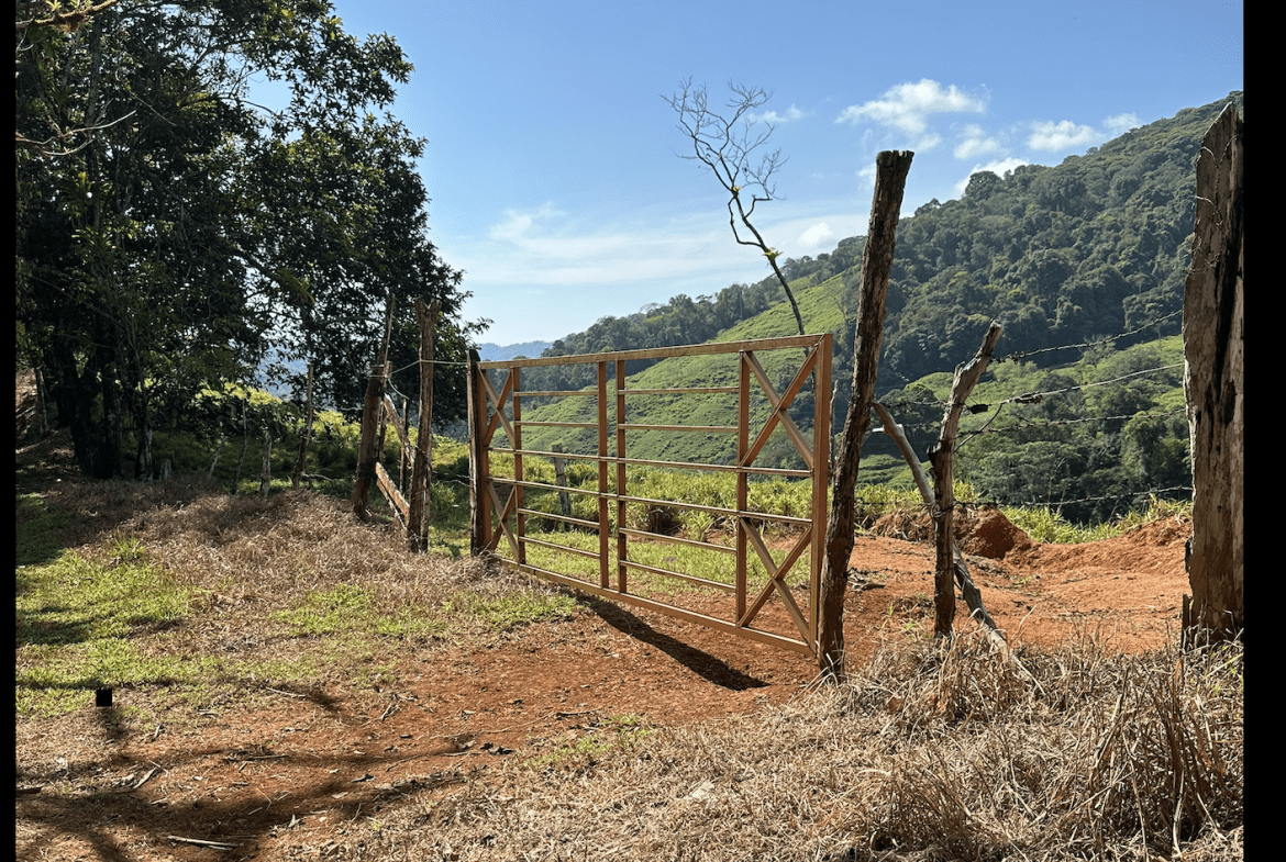DEVELOPMENT PROPERTY WITH MOUNTAIN VIEWS, NEAR TO THE TIERRAS MORENAS – 25 ACRES