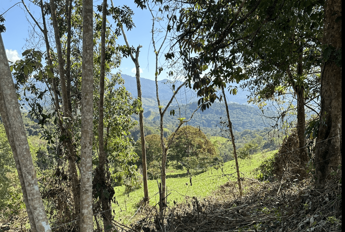 DEVELOPMENT PROPERTY WITH MOUNTAIN VIEWS, NEAR TO THE TIERRAS MORENAS – 25 ACRES