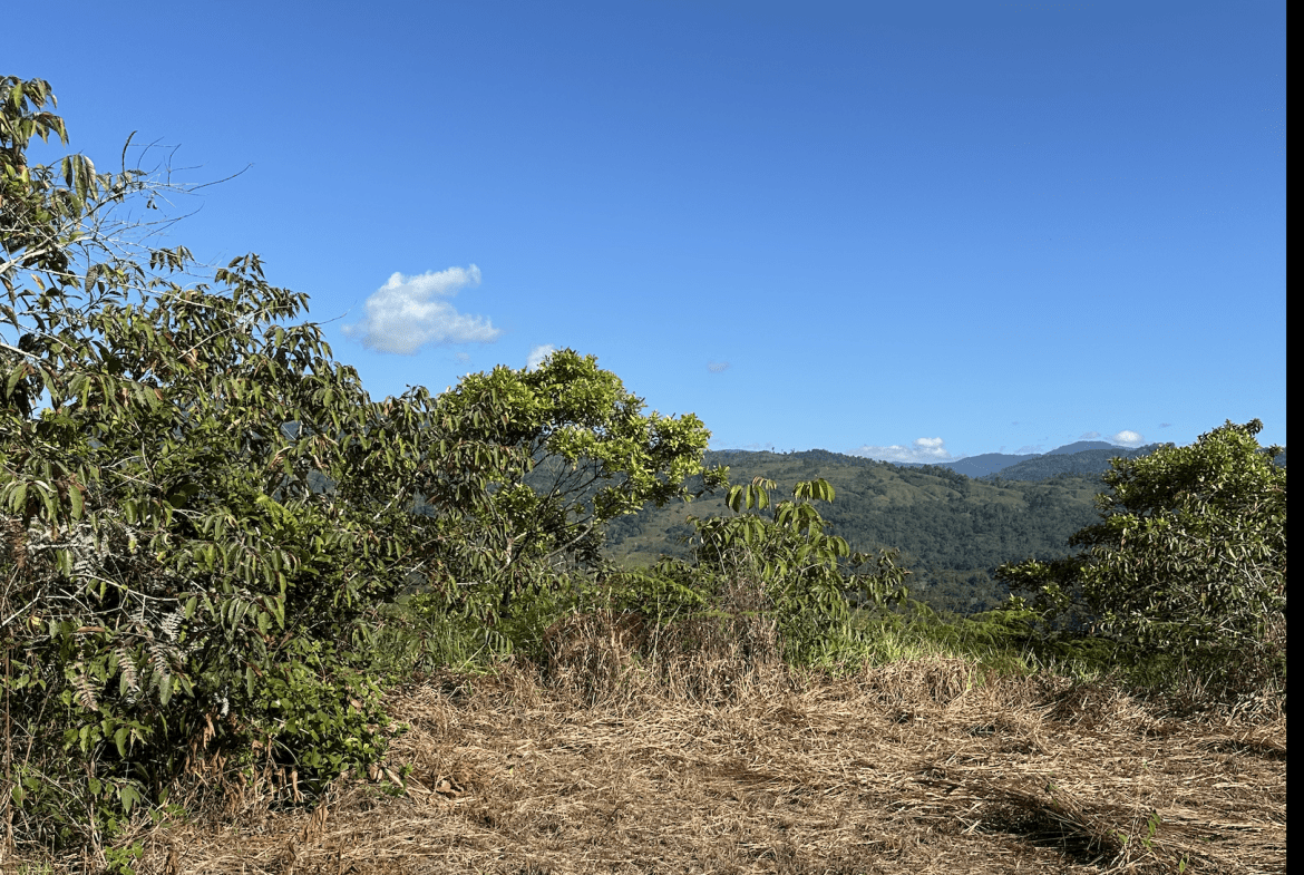 DEVELOPMENT PROPERTY WITH MOUNTAIN VIEWS, NEAR TO THE TIERRAS MORENAS – 25 ACRES