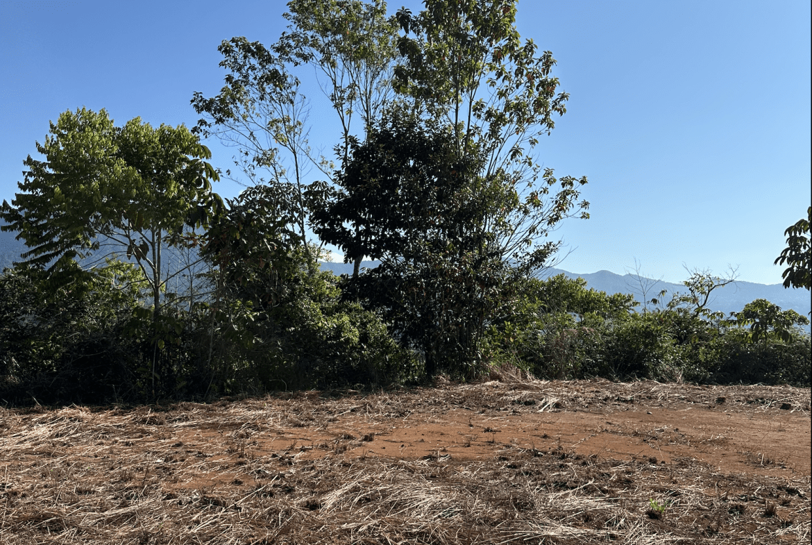 DEVELOPMENT PROPERTY WITH MOUNTAIN VIEWS, NEAR TO THE TIERRAS MORENAS – 25 ACRES