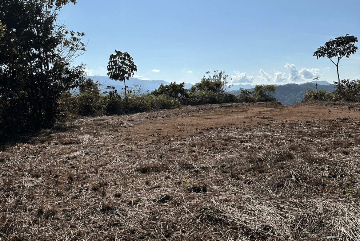 DEVELOPMENT PROPERTY WITH MOUNTAIN VIEWS, NEAR TO THE TIERRAS MORENAS – 25 ACRES