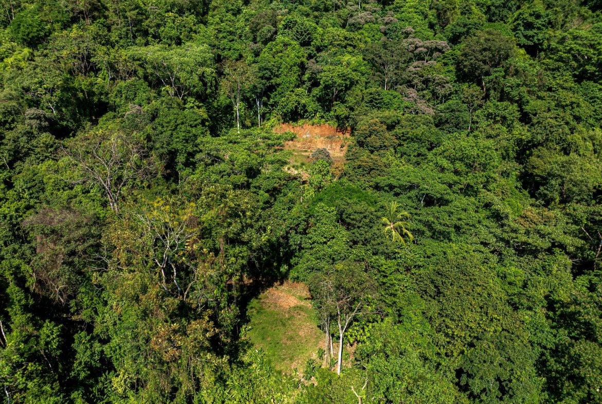 DEVELOPMENT PROPERTY WITH PANORAMIC VIEWS OF THE OCEAN AND SUNSET, IN PORTALON – 44 ACRES