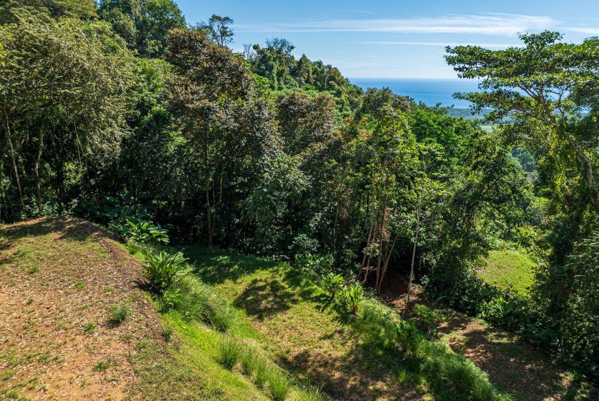 DEVELOPMENT PROPERTY WITH PANORAMIC VIEWS OF THE OCEAN AND SUNSET, IN PORTALON – 44 ACRES
