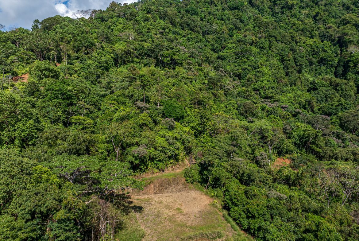 DEVELOPMENT PROPERTY WITH PANORAMIC VIEWS OF THE OCEAN AND SUNSET, IN PORTALON – 44 ACRES