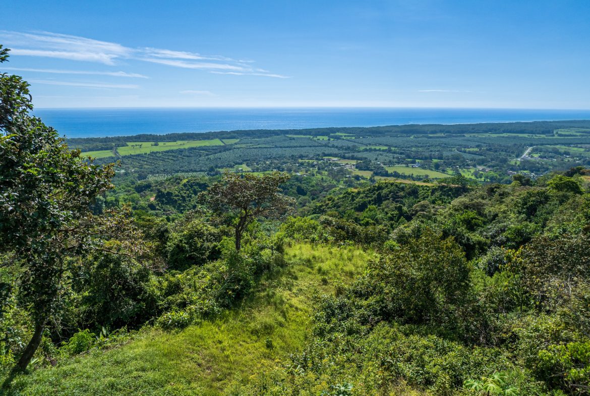 DEVELOPMENT PROPERTY WITH PANORAMIC VIEWS OF THE OCEAN AND SUNSET, IN PORTALON – 44 ACRES