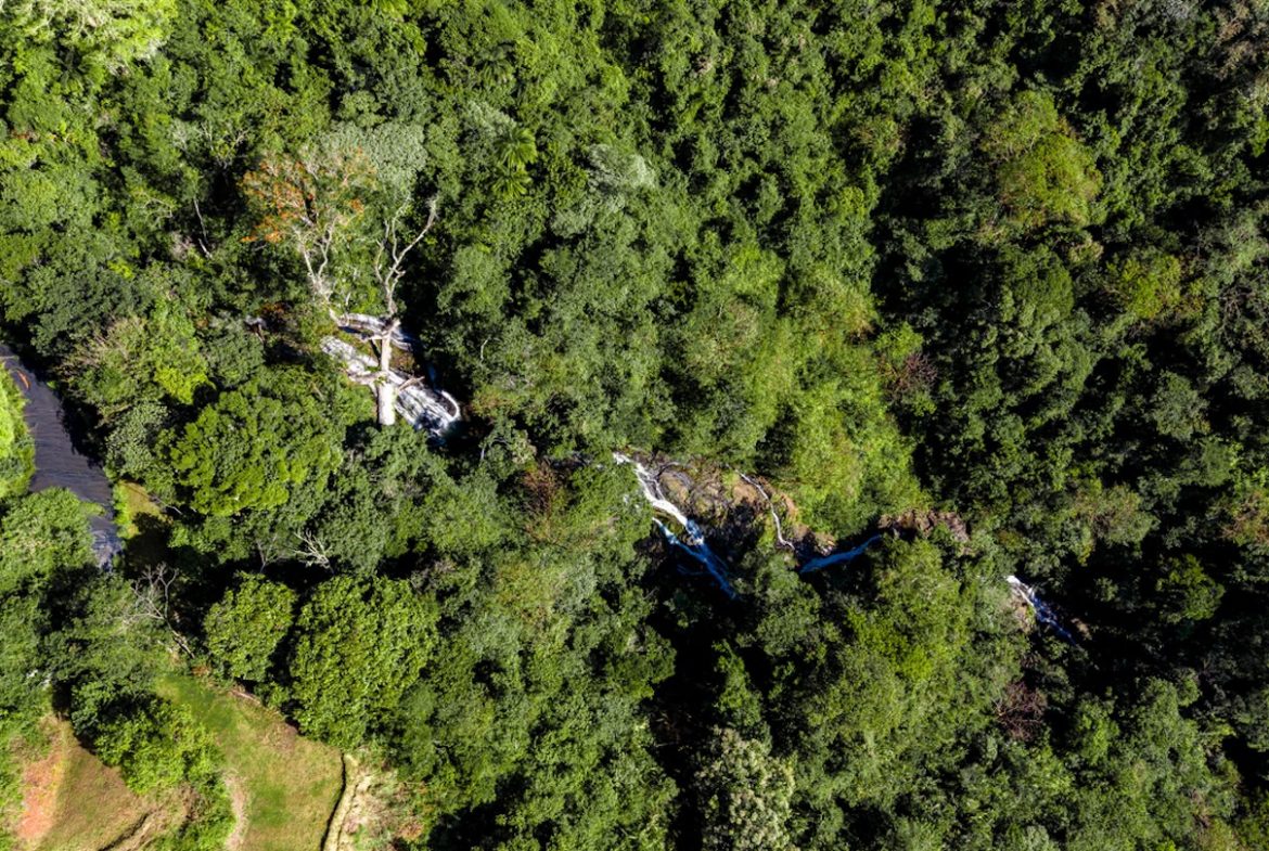 DEVELOPMENT PROPERTY WITH MOUNTAINS VIEWS AND NEAR TO THE CASCADE, IN LA PALMA – 12 ACRES